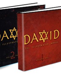 David The Illustrated Novel Vol 1 & 2
